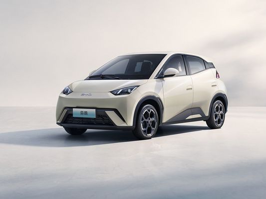 2025 Model Baru BYD Seagull Fast Charging Electric Vehicle Hot Selling Mini EV Jarak Panjang dan Baterai Besar 405KM